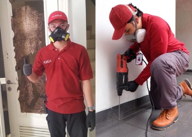 Lakukan Cara Ini Agar Rumah Terasa Nyaman Anti Rayap