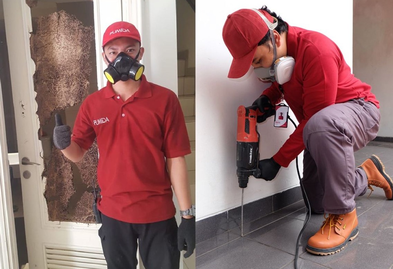 Lakukan Cara Ini Agar Rumah Terasa Nyaman Anti Rayap